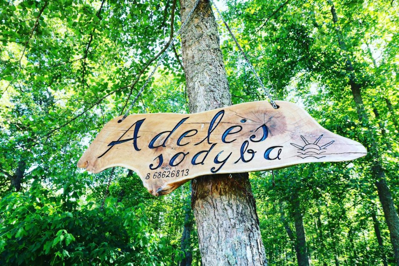 Namelis Nr 2 Adeles Sodyba Muize 外观 照片